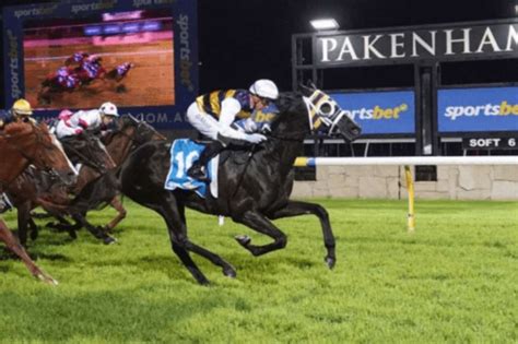 Best bets and expert tips for Pakenham races Friday .
